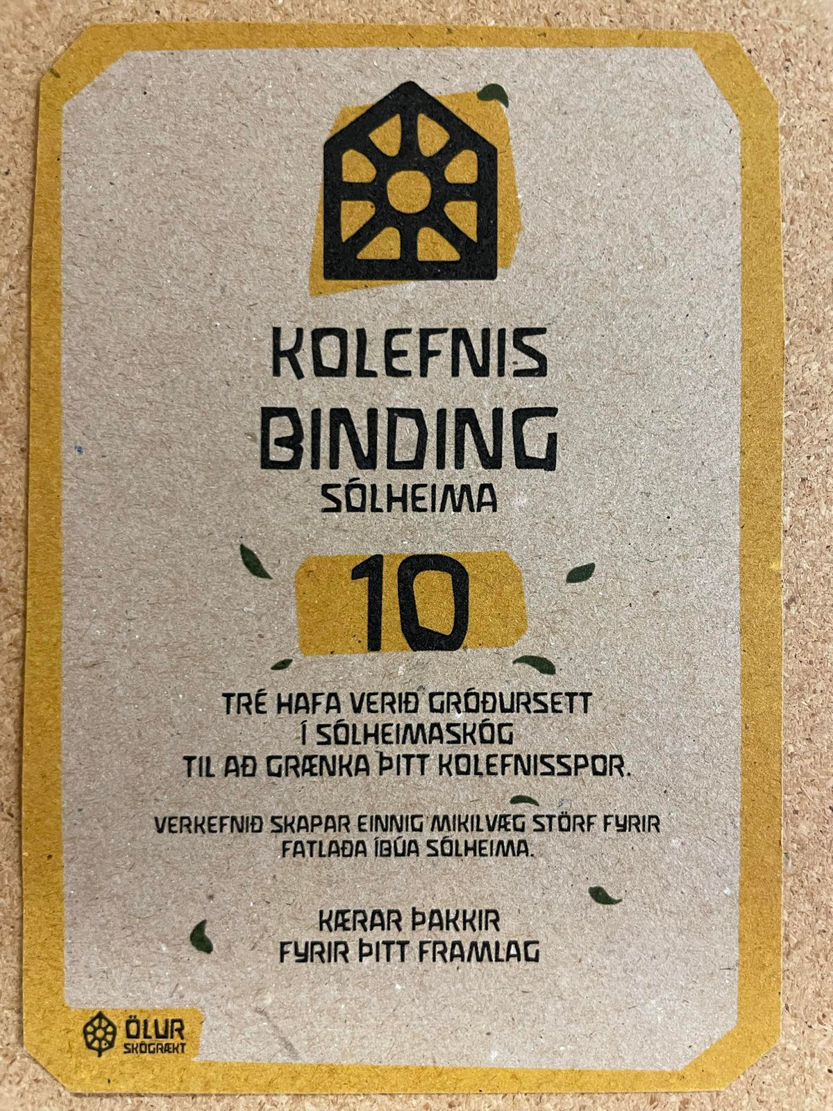 Kolefnisjöfnun